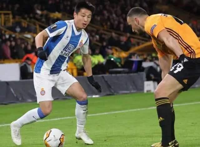 狼队替补爆料视频,幕后英雄的奋斗与牺牲  第2张